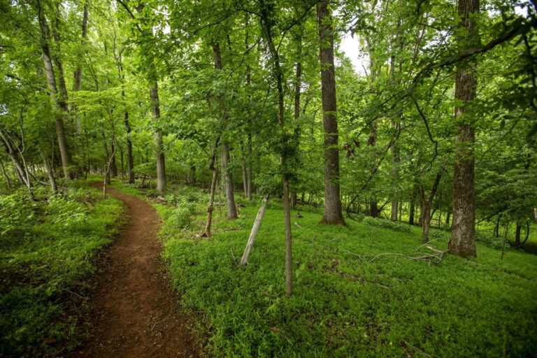 hines chapel preserve 768x512