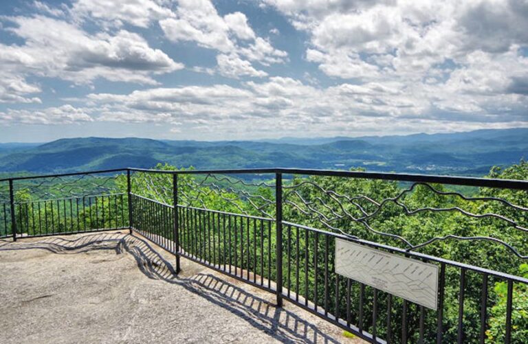 jumping off rock 768x501