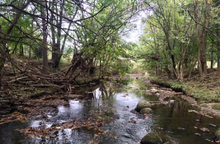 lake daniel park 768x501