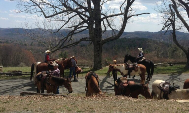 ogburn stables 768x461