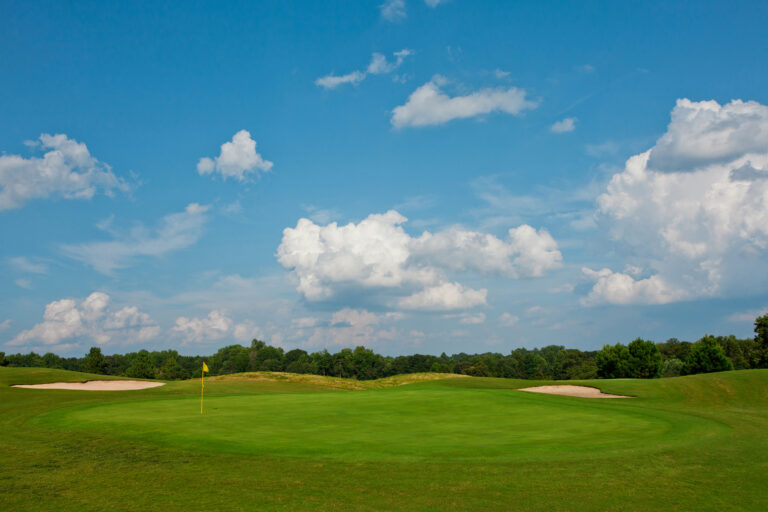 olde homeplace 768x512