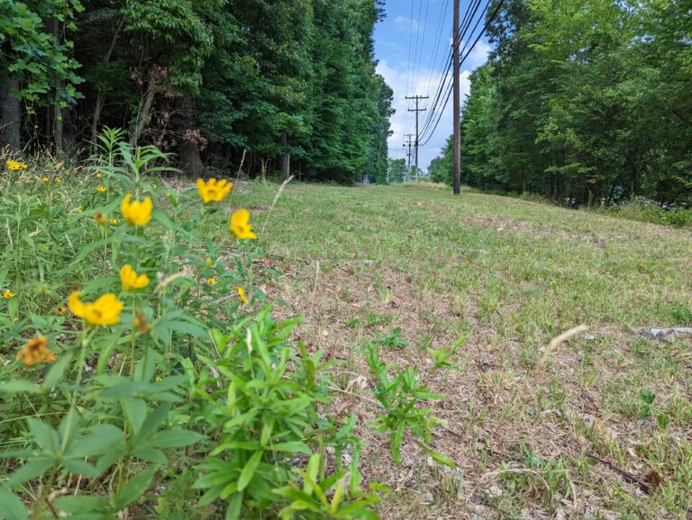 ragsdale disc golf 768x578