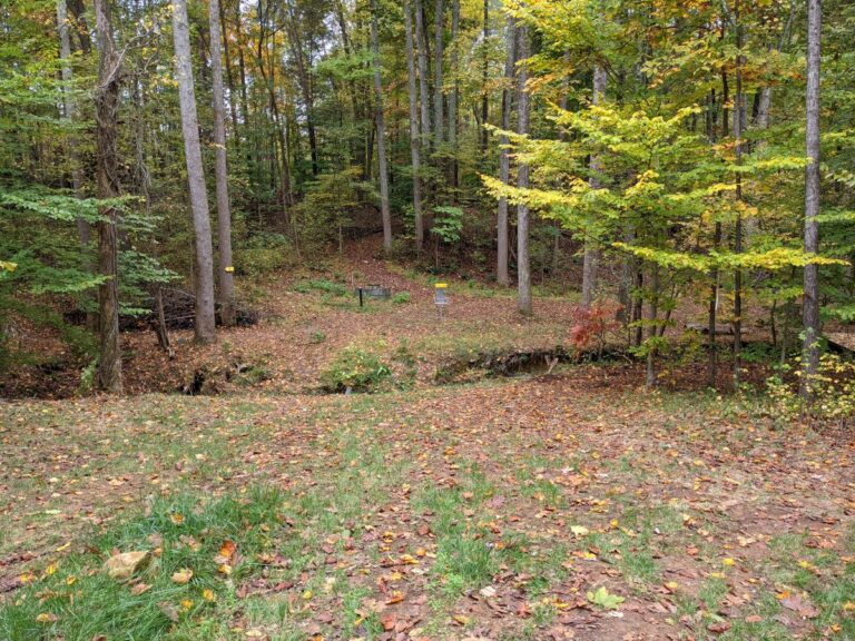 the crossing dgc 768x576