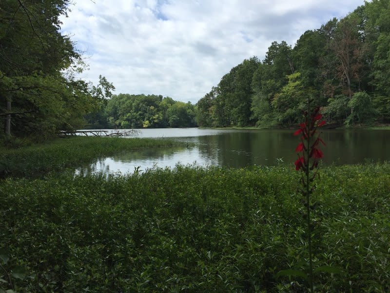 bill faver lakeshore trail