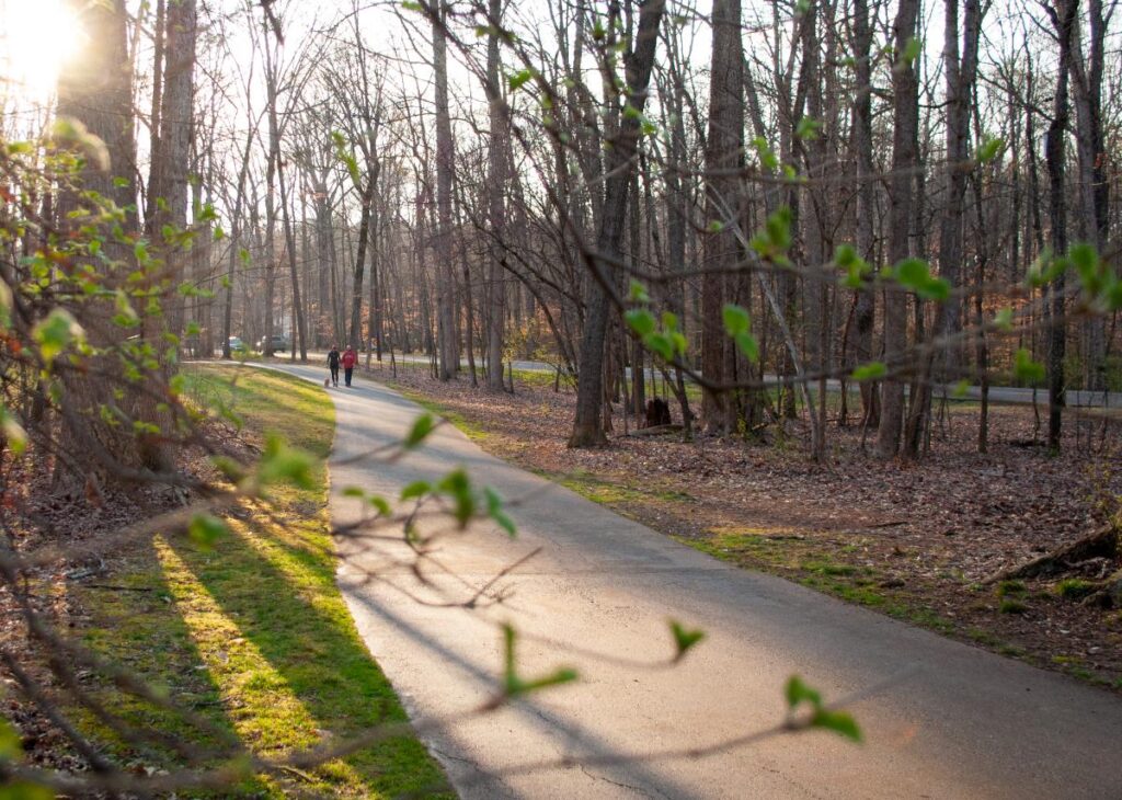 tanglewood dog park